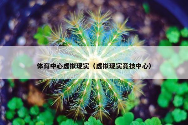 体育中心虚拟现实（虚拟现实竞技中心）