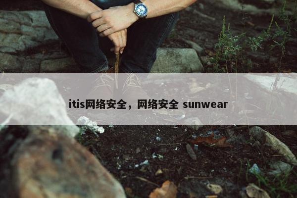 itis网络安全，网络安全 sunwear