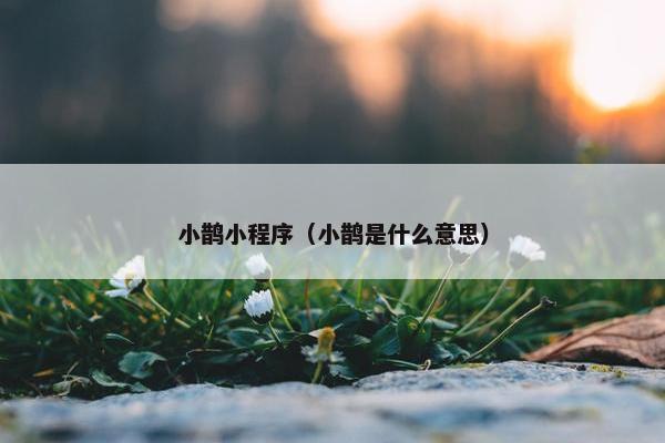 小鹊小程序（小鹊是什么意思）