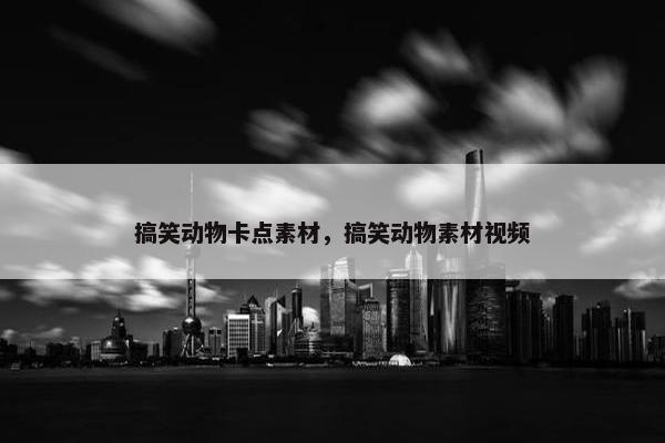 搞笑动物卡点素材，搞笑动物素材视频