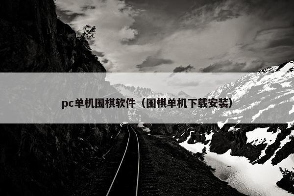 pc单机围棋软件（围棋单机下载安装）