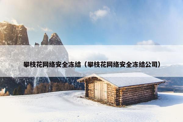 攀枝花网络安全冻结（攀枝花网络安全冻结公司）
