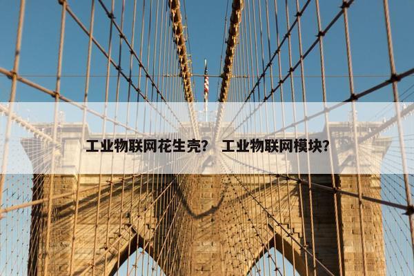工业物联网花生壳？ 工业物联网模块？