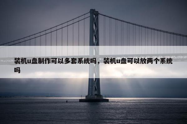 装机u盘制作可以多套系统吗，装机u盘可以放两个系统吗