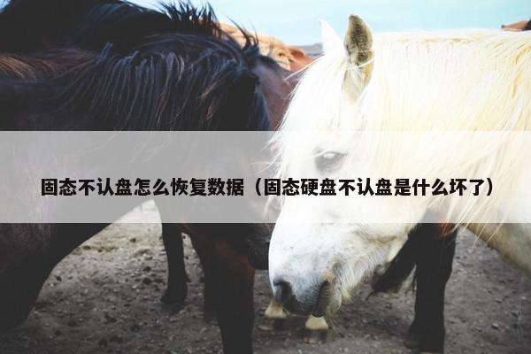 固态不认盘怎么恢复数据（固态硬盘不认盘是什么坏了）