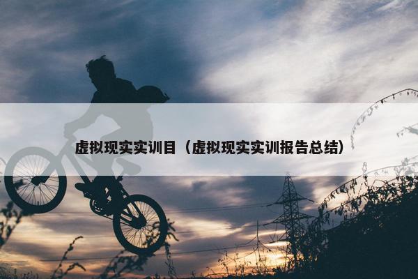 虚拟现实实训目（虚拟现实实训报告总结）