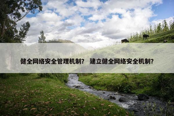健全网络安全管理机制？ 建立健全网络安全机制？
