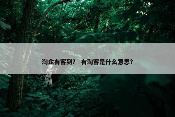 淘企有客到？ 有淘客是什么意思？