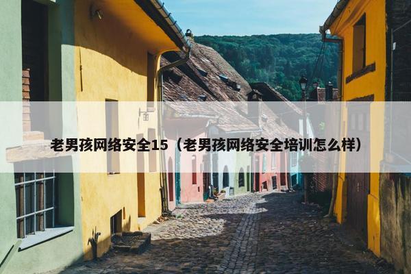 老男孩网络安全15（老男孩网络安全培训怎么样）