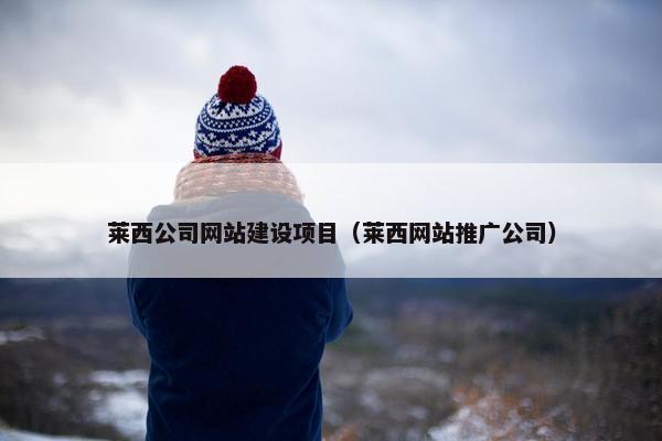 莱西公司网站建设项目（莱西网站推广公司）