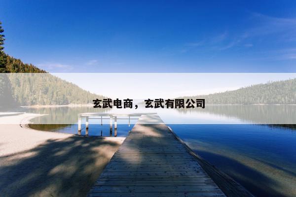 玄武电商，玄武有限公司
