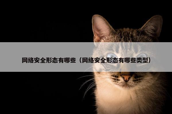 网络安全形态有哪些（网络安全形态有哪些类型）