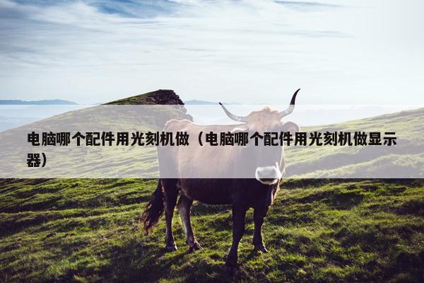 电脑哪个配件用光刻机做（电脑哪个配件用光刻机做显示器）