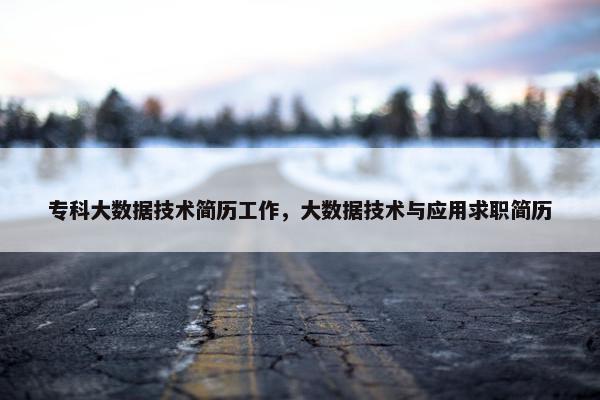 专科大数据技术简历工作，大数据技术与应用求职简历