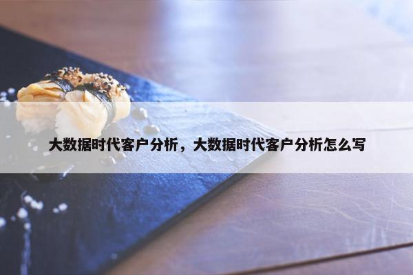 大数据时代客户分析，大数据时代客户分析怎么写