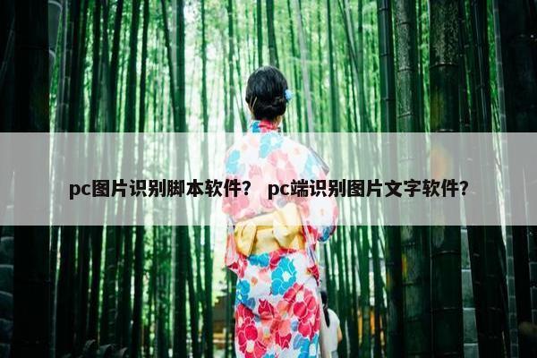 pc图片识别脚本软件？ pc端识别图片文字软件？