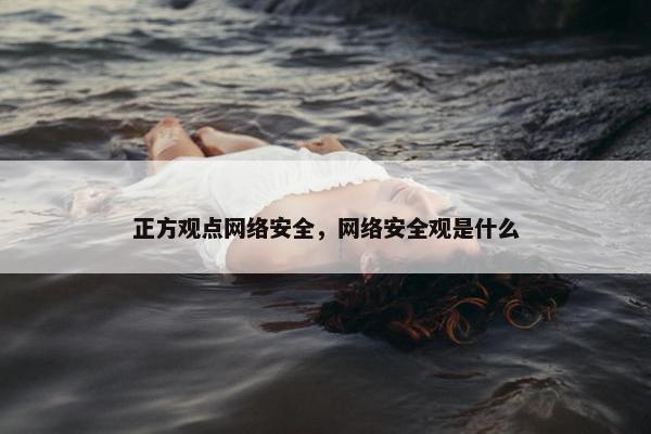 正方观点网络安全，网络安全观是什么