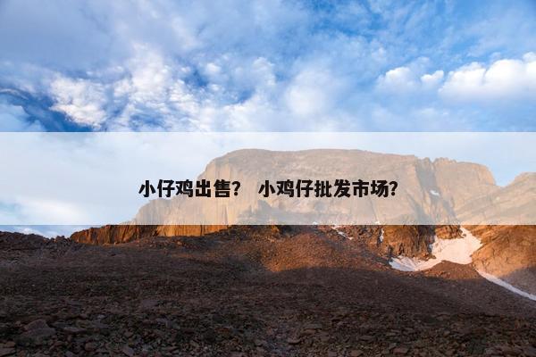小仔鸡出售？ 小鸡仔批发市场？
