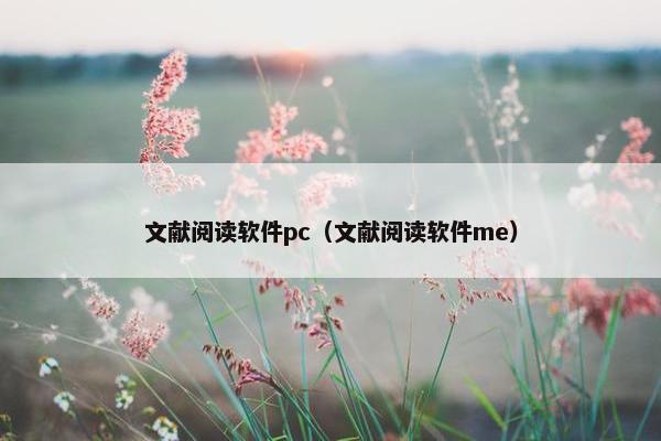 文献阅读软件pc（文献阅读软件me）