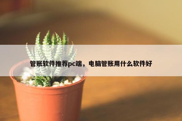 管账软件推荐pc端，电脑管账用什么软件好