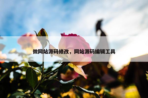 微网站源码修改，网站源码编辑工具
