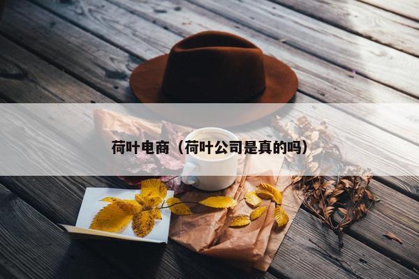 荷叶电商（荷叶公司是真的吗）