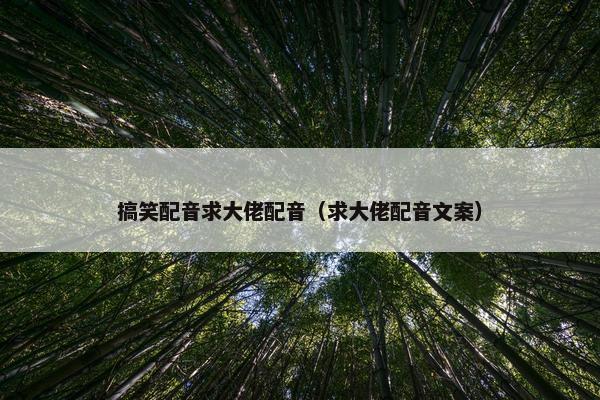 搞笑配音求大佬配音（求大佬配音文案）