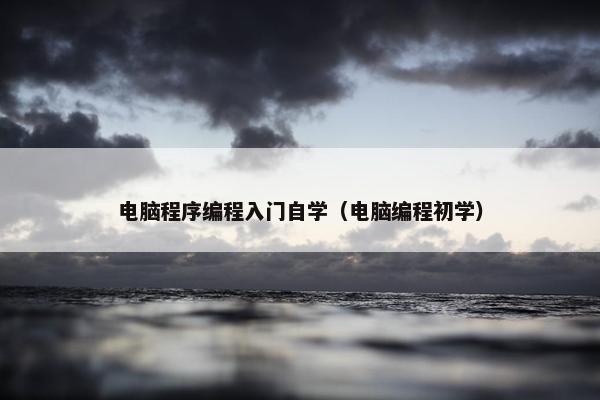 电脑程序编程入门自学（电脑编程初学）