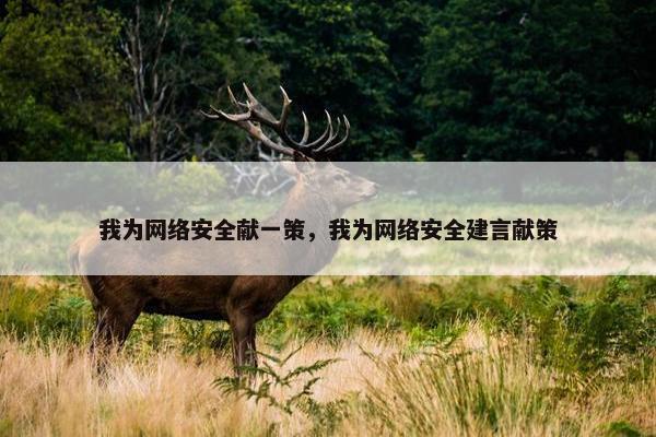 我为网络安全献一策，我为网络安全建言献策