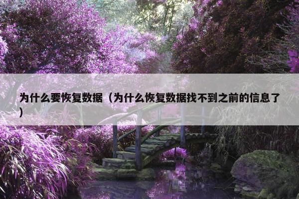 为什么要恢复数据（为什么恢复数据找不到之前的信息了）