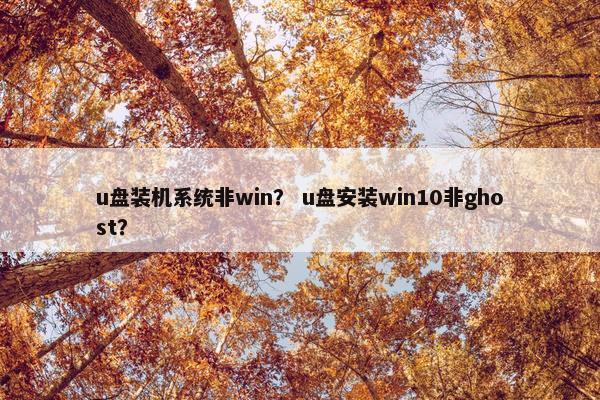 u盘装机系统非win？ u盘安装win10非ghost？