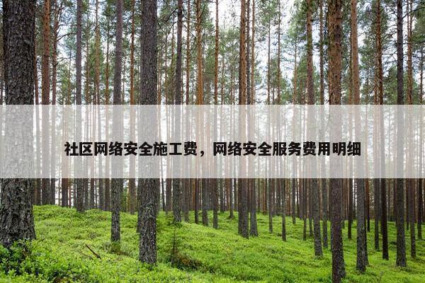 社区网络安全施工费，网络安全服务费用明细