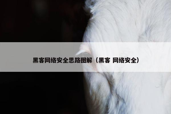 黑客网络安全思路图解（黑客 网络安全）
