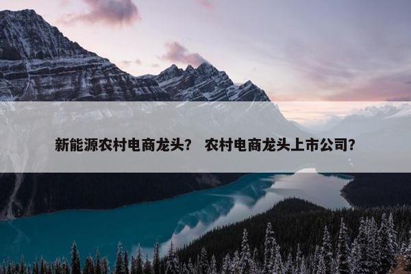 新能源农村电商龙头？ 农村电商龙头上市公司？