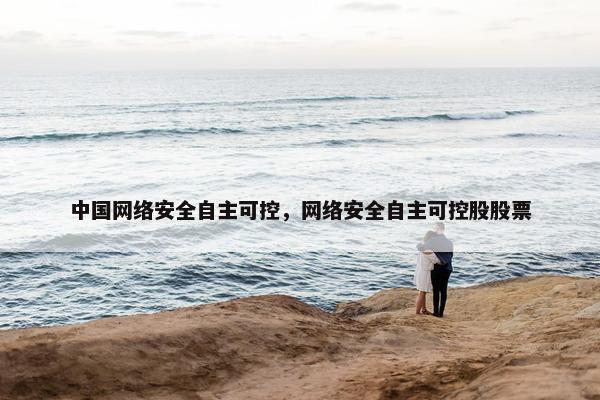 中国网络安全自主可控，网络安全自主可控股股票