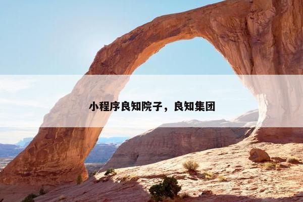 小程序良知院子，良知集团