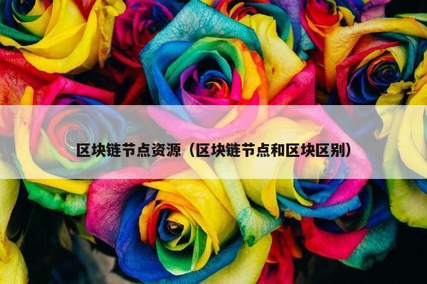 区块链节点资源（区块链节点和区块区别）