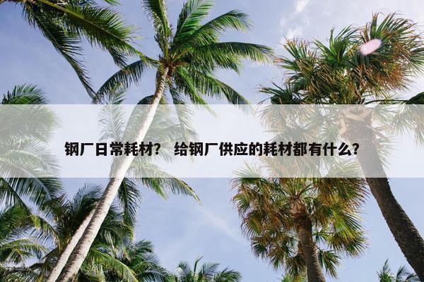 钢厂日常耗材？ 给钢厂供应的耗材都有什么？