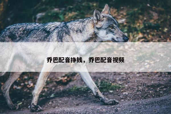 乔巴配音挣钱，乔巴配音视频