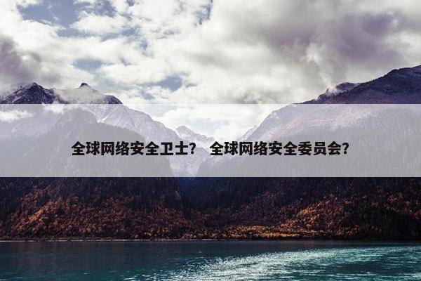 全球网络安全卫士？ 全球网络安全委员会？