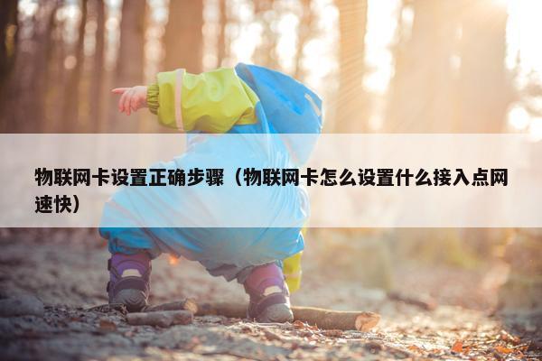 物联网卡设置正确步骤（物联网卡怎么设置什么接入点网速快）