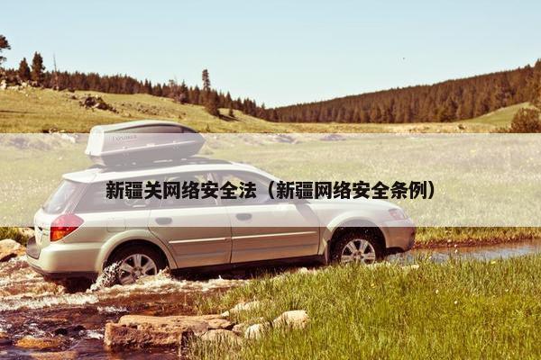 新疆关网络安全法（新疆网络安全条例）