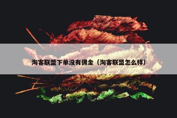 淘客联盟下单没有佣金(淘客联盟怎么样) 淘客联盟下单没有佣金(淘客联盟怎么样)