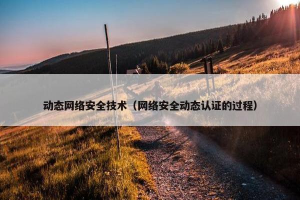 动态网络安全技术（网络安全动态认证的过程）