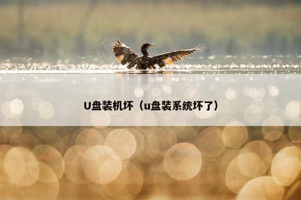 U盘装机坏（u盘装系统坏了）