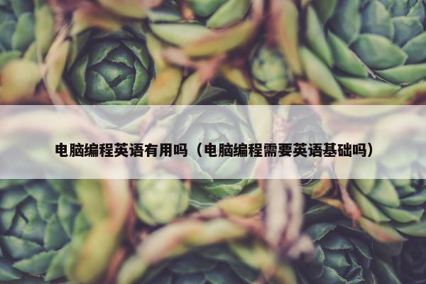 电脑编程英语有用吗（电脑编程需要英语基础吗）