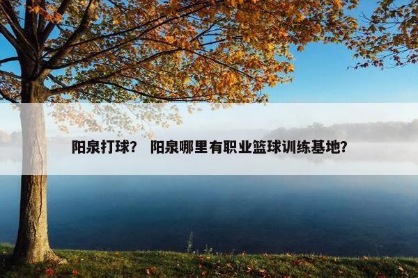 阳泉打球？ 阳泉哪里有职业篮球训练基地？