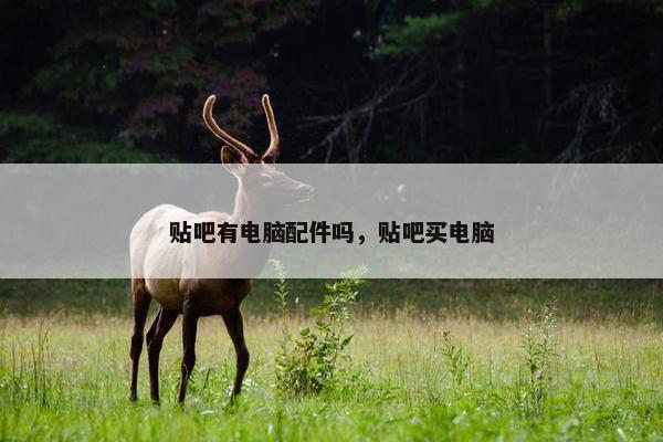 贴吧有电脑配件吗，贴吧买电脑