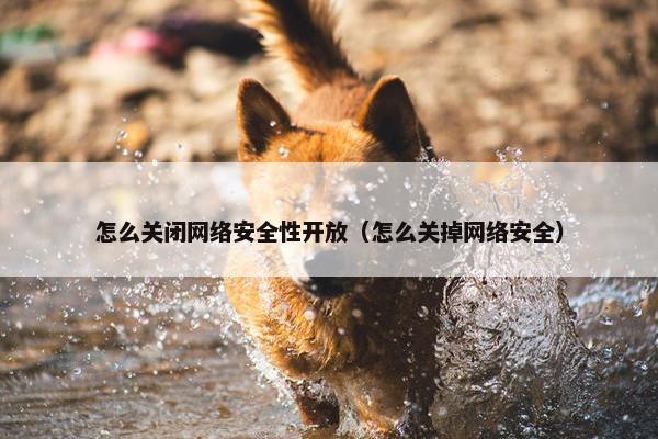 怎么关闭网络安全性开放（怎么关掉网络安全）