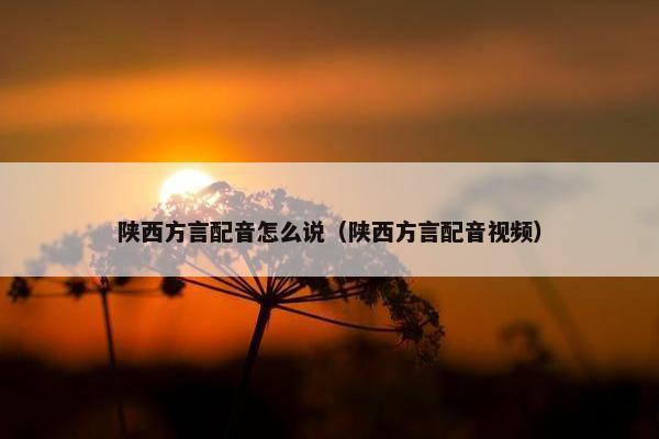 陕西方言配音怎么说（陕西方言配音视频）